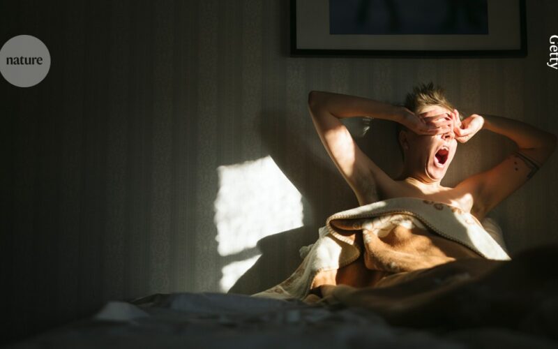 Neuro: Una señal cerebral anticipa el despertar