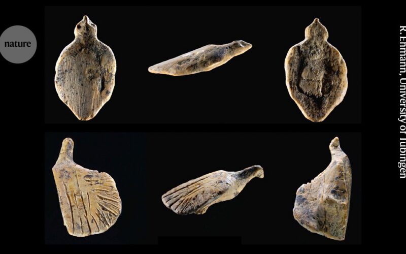 Paleo: Dos aves de marfil vuelven a Hohle Fels