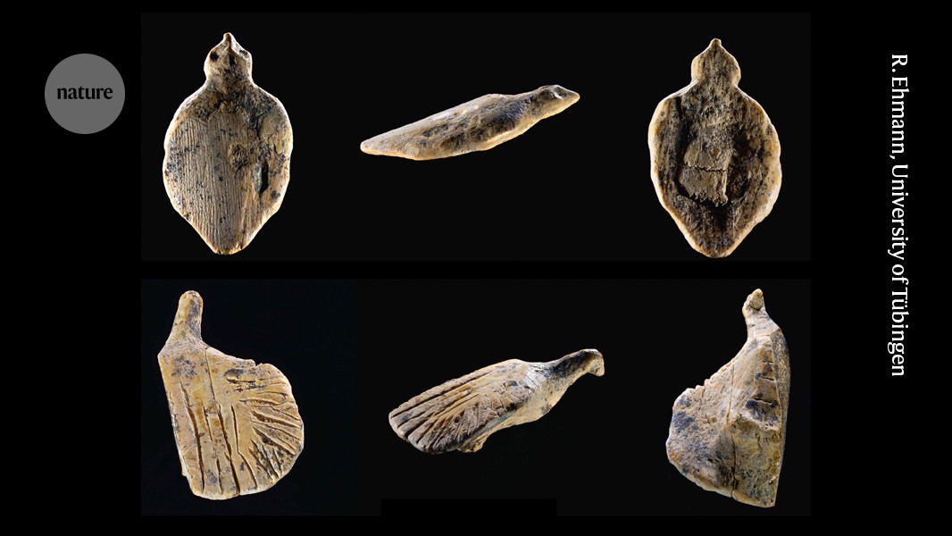 Paleo: Dos aves de marfil vuelven a Hohle Fels