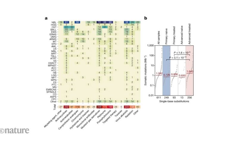 Oncología: las terapias dejan huellas en el ADN de los tumores infantiles