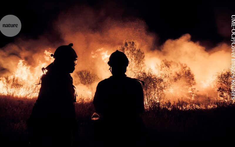 Clima: Los incendios baten récords en Francia y España
