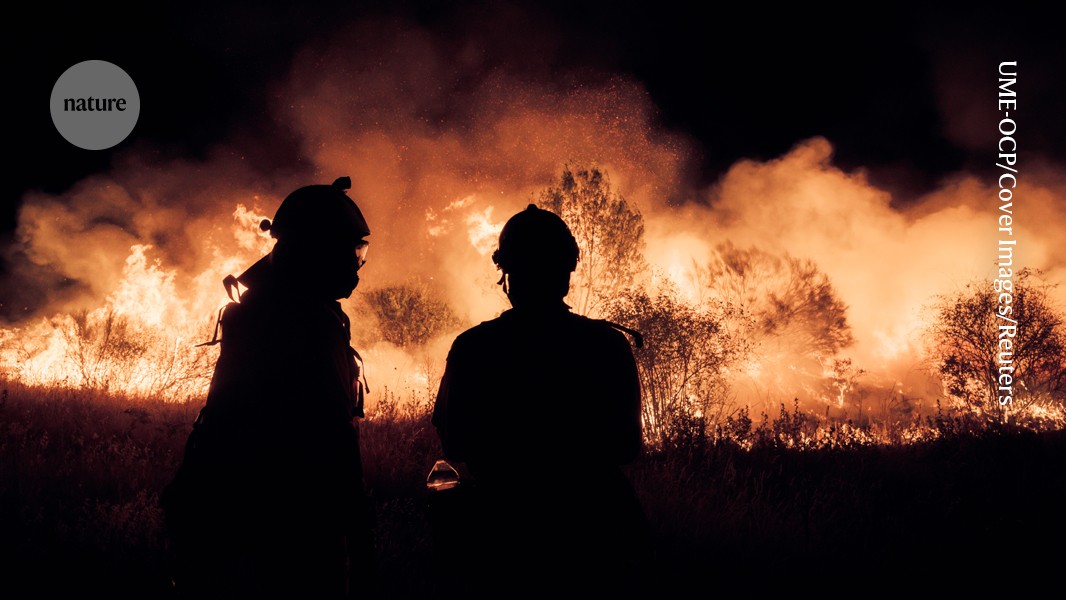 Clima: Los incendios baten récords en Francia y España