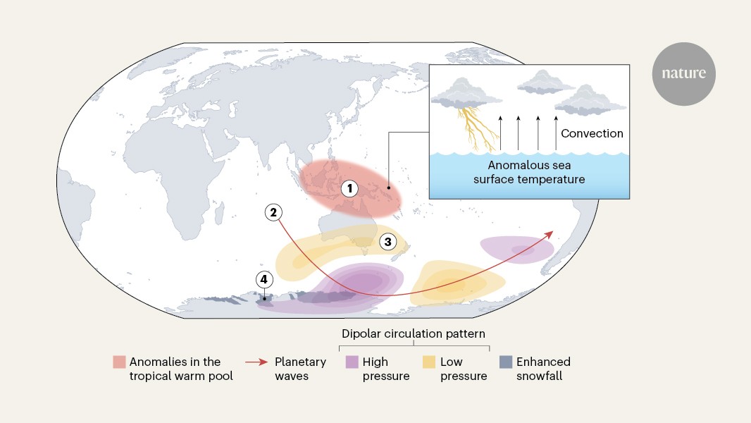 Clima: La Antártida gana masa, pero por poco