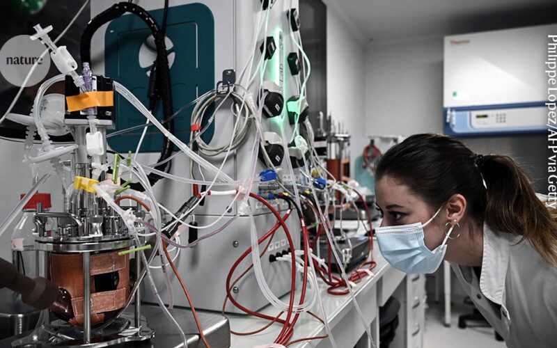 Bioingeniería: Europa pide departamentos y fondos propios