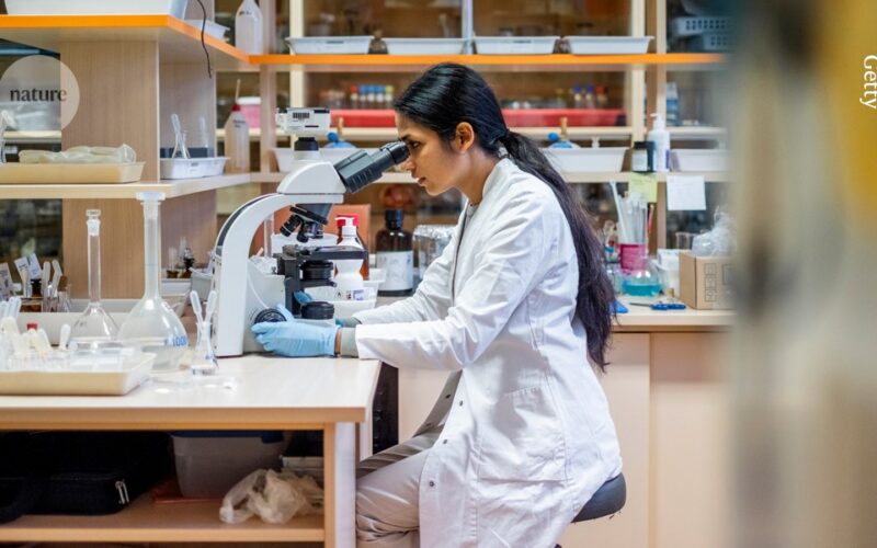Ciencia y empleo: La NSF lanza un doctorado con industria