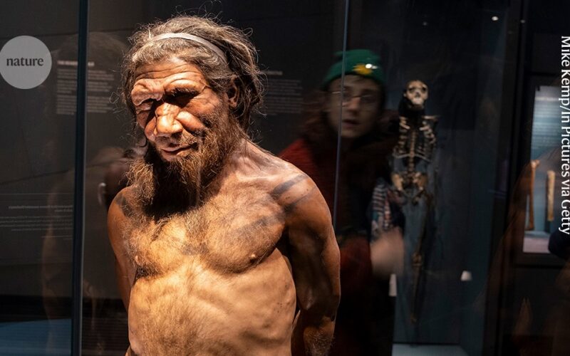 Genética: Una variante neandertal deja huella en el cuerpo
