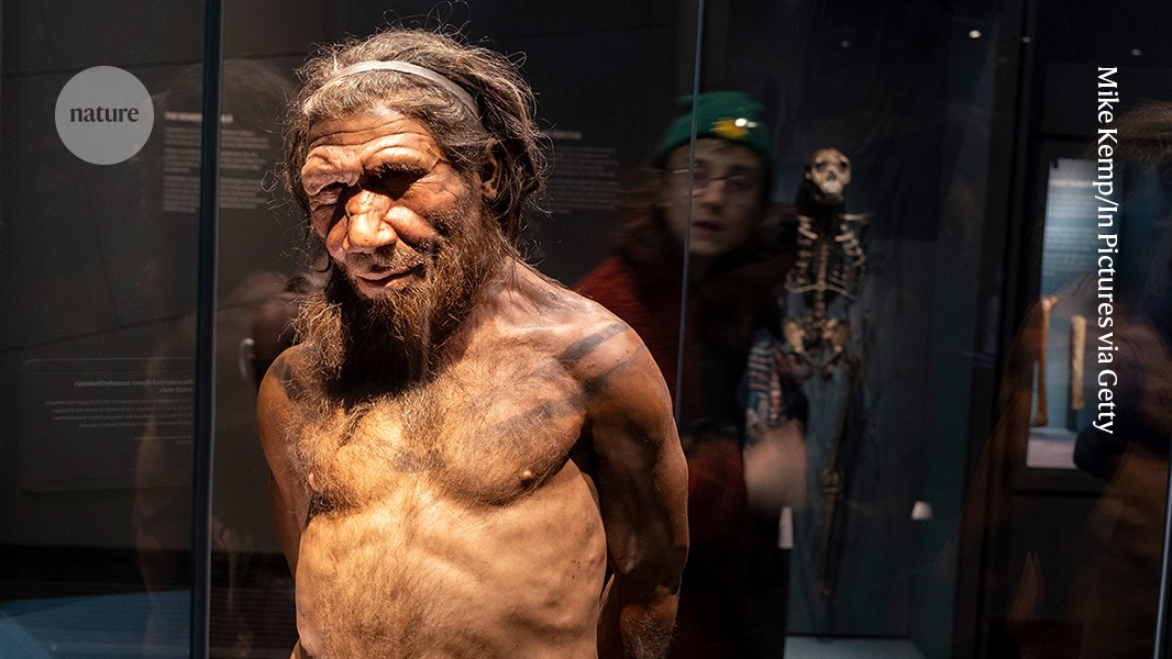 Genética: Una variante neandertal deja huella en el cuerpo