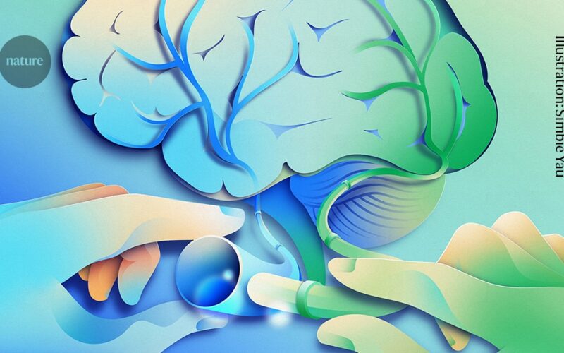 Neuro: Una cirugía para el alzhéimer bajo escrutinio