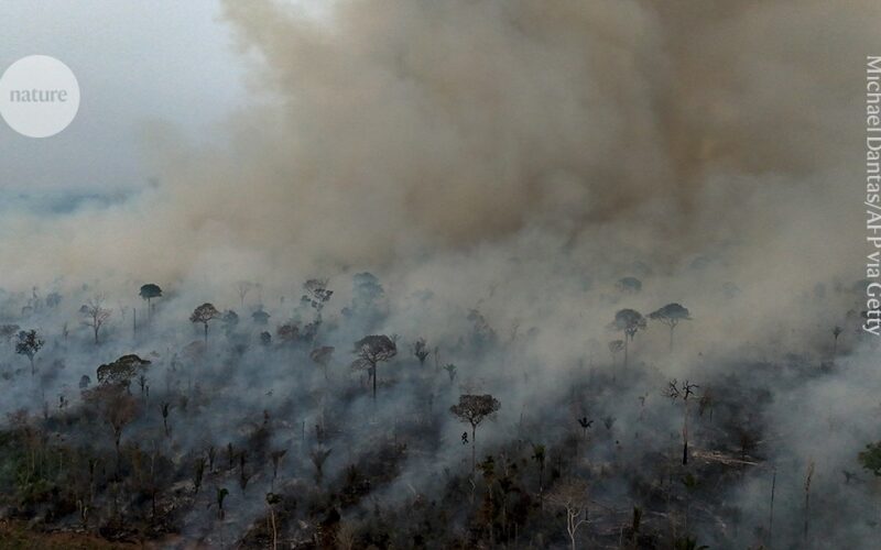 Clima: Un El Niño fuerte pone a prueba la Amazonia