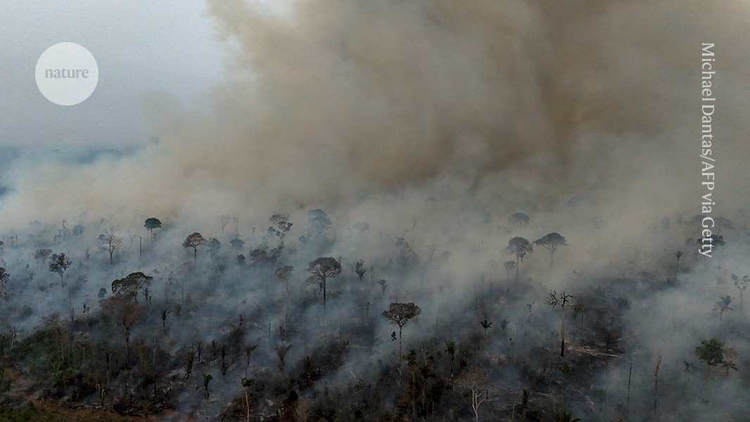 Clima: Un El Niño fuerte pone a prueba la Amazonia