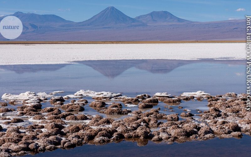Geobiología: Tierra y vida cambiaron juntas