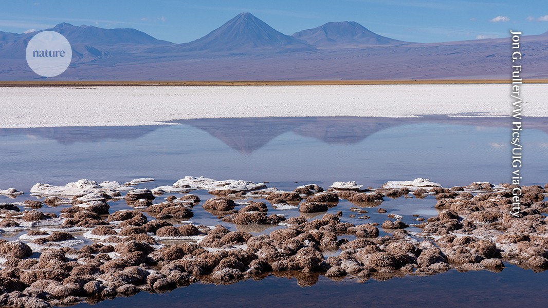 Geobiología: Tierra y vida cambiaron juntas