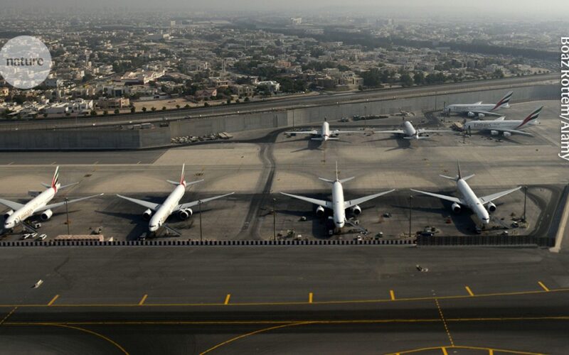 Energía: Oriente Medio y el combustible sostenible de aviación