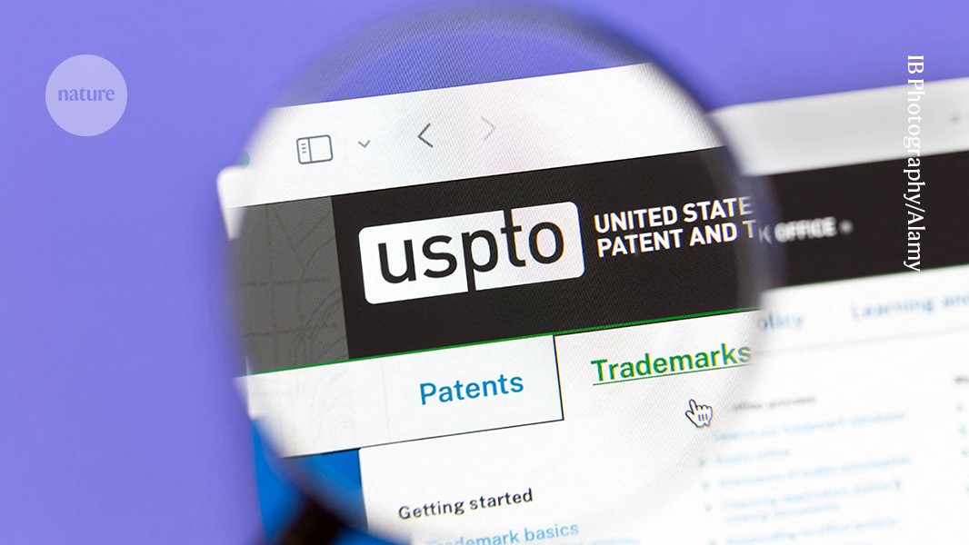 Tecnología: Una IA ordena papers por su lenguaje de patente