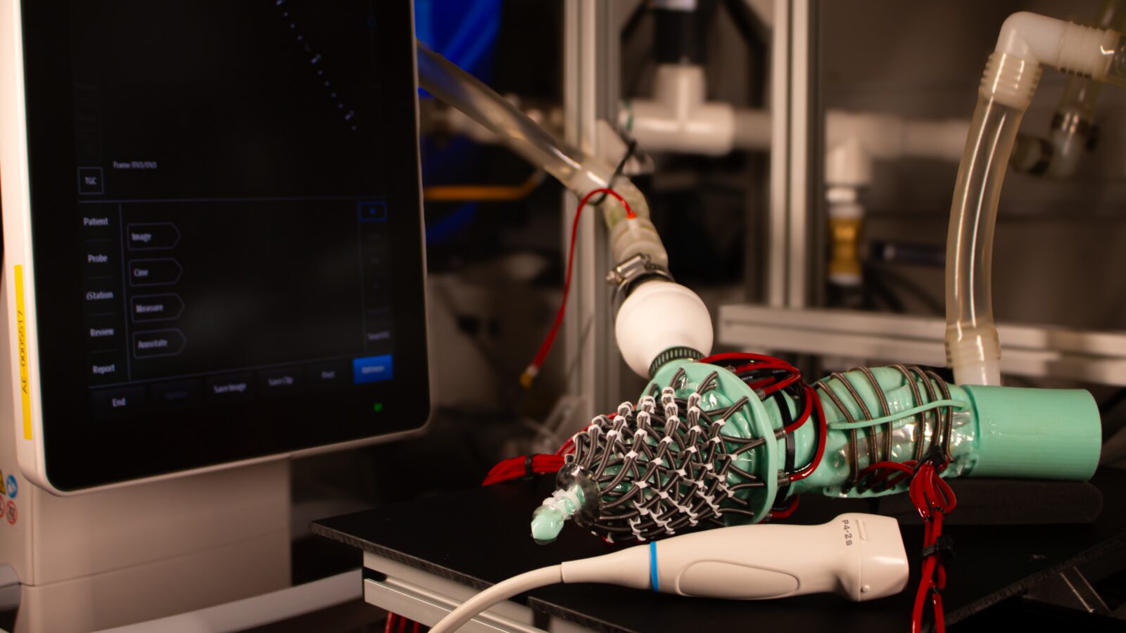 Tecnología: Un corazón robótico imita la insuficiencia cardíaca