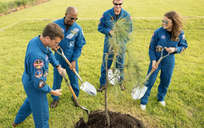 Espacio: Artemis II dedica un árbol lunar Apollo 14