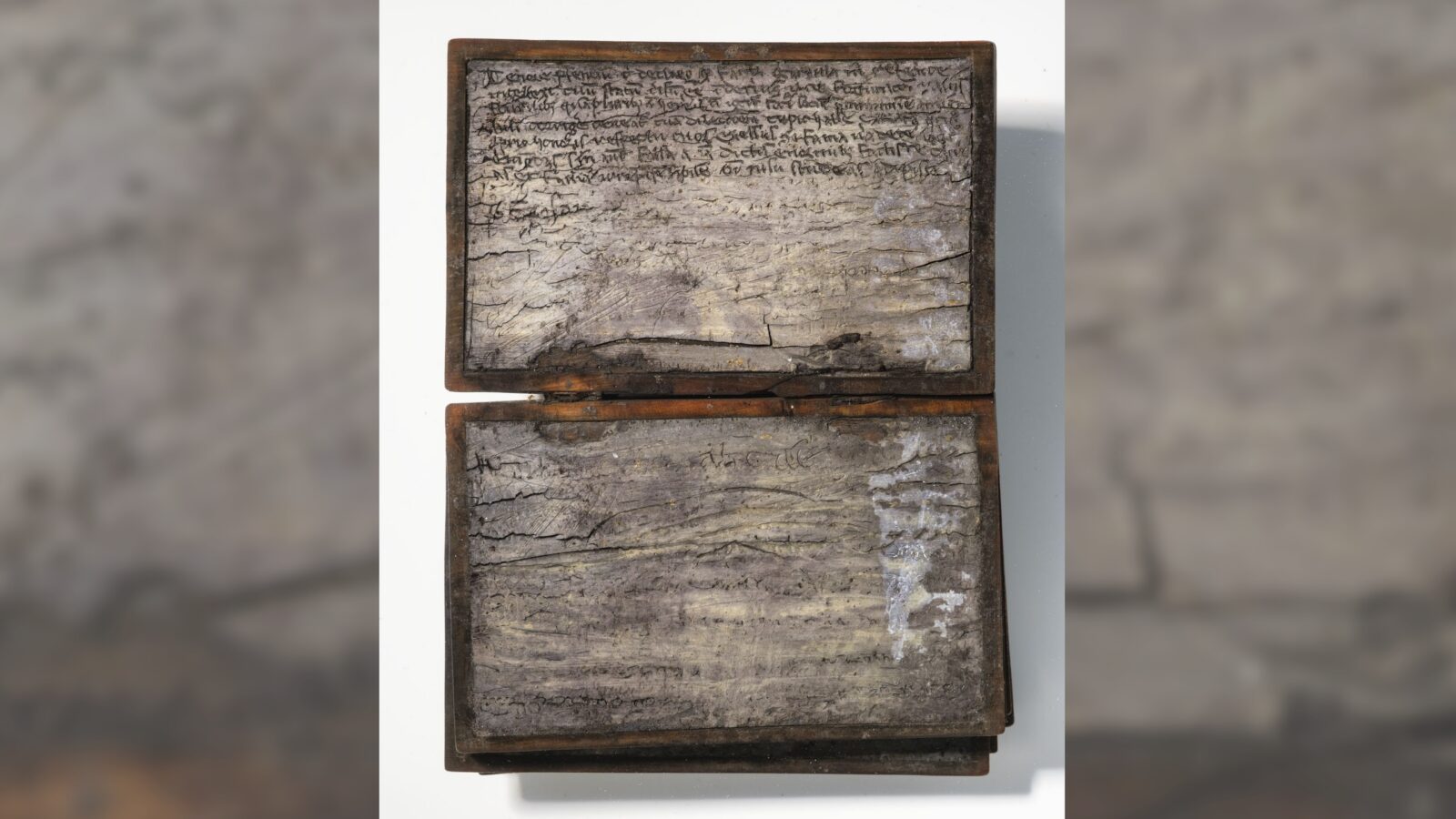 🏺 Arqueología: un cuaderno medieval salió de una letrina