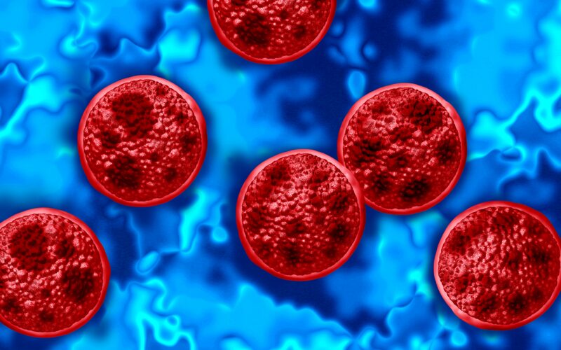 Salud: Dos muertes en un brote de Cyclospora