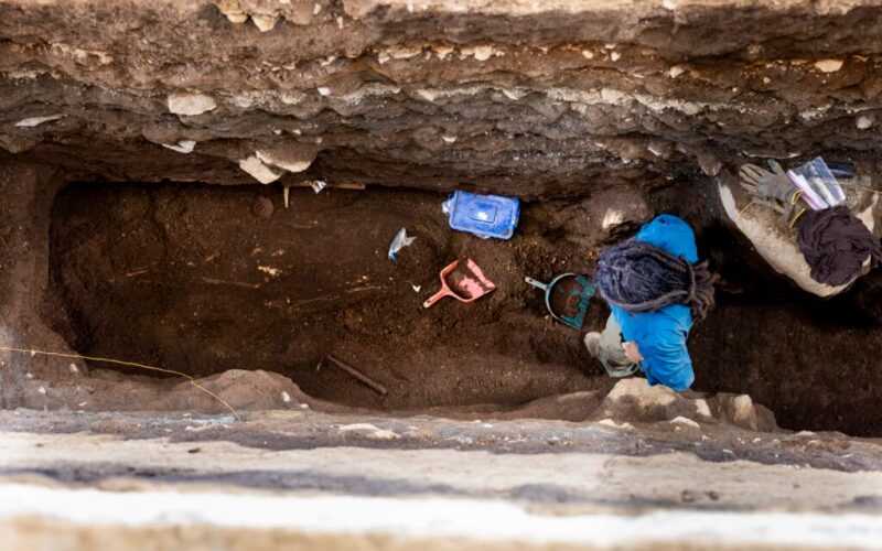Arqueología: Un entierro con una tortuga marina