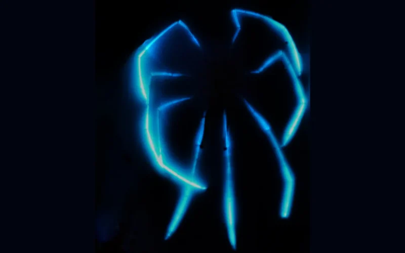 Biología: arañas de mar abisales que brillan como estrellas