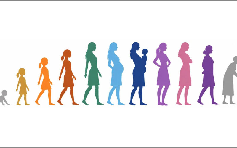 Neuro: La materia gris parece tomar una pausa en la menopausia