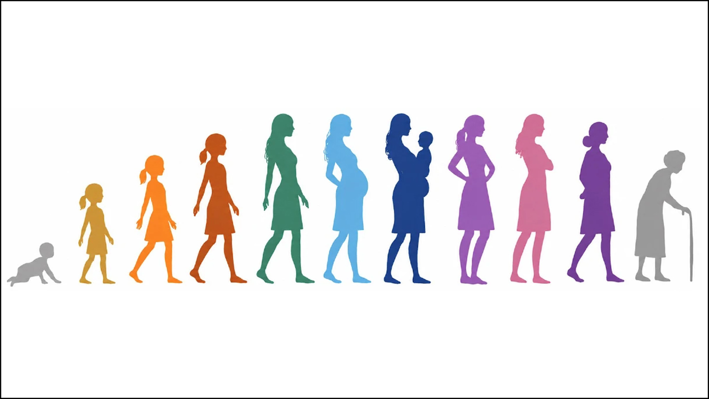 Neuro: La materia gris parece tomar una pausa en la menopausia