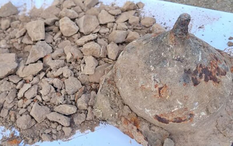 Arqueología: Un escudo ocultaba huesos cremados