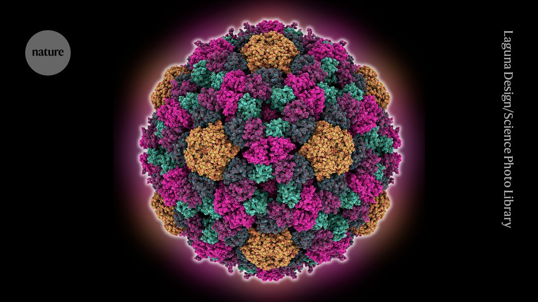 Genética: Mutar el genoma de phi X pone a prueba la IA