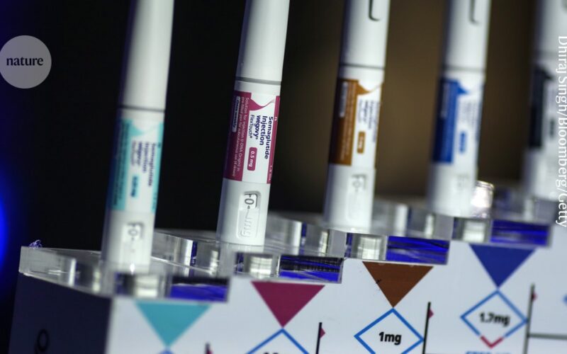 Medicina: Semaglutida alarga la vida de ratonas