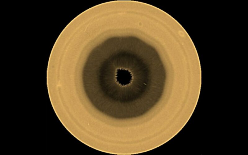 Espacio: Un decágono aparece sobre el polo sur de Saturno
