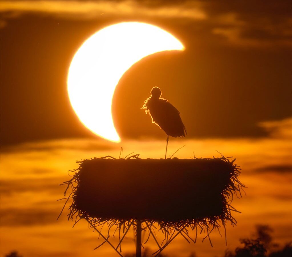 Espacio: El eclipse y la cigüeña