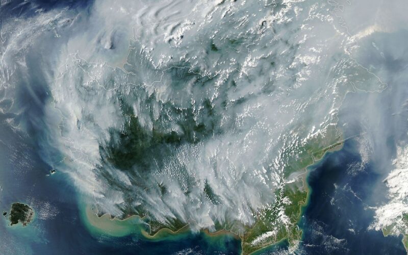 Clima: El fuego bajo las turberas de Indonesia