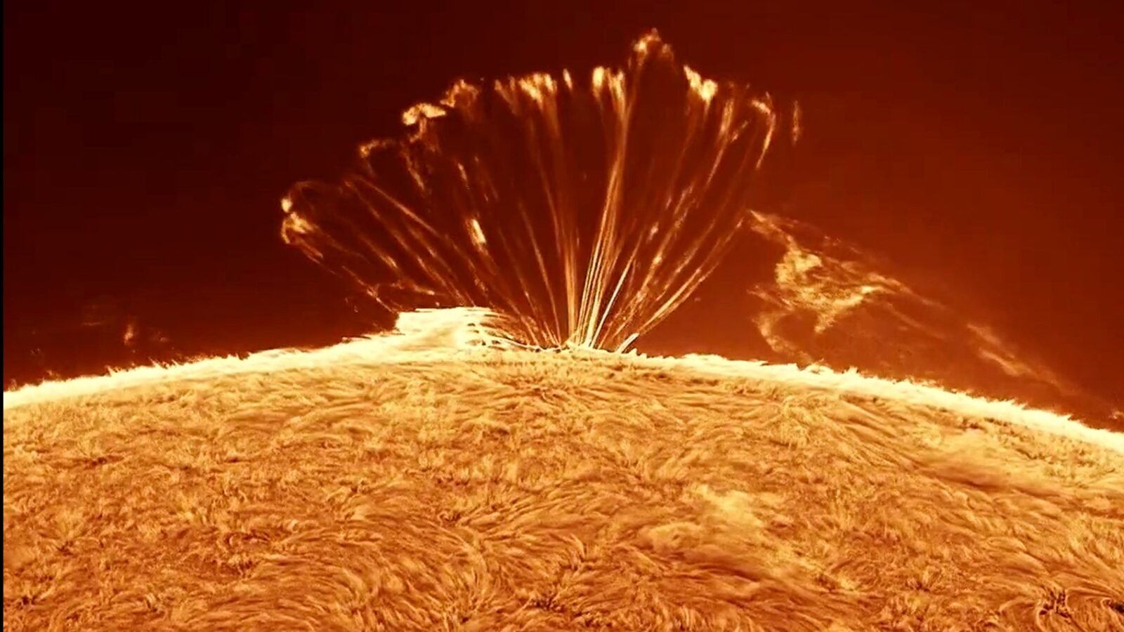 Espacio: Bucles de plasma sobre el borde del Sol
