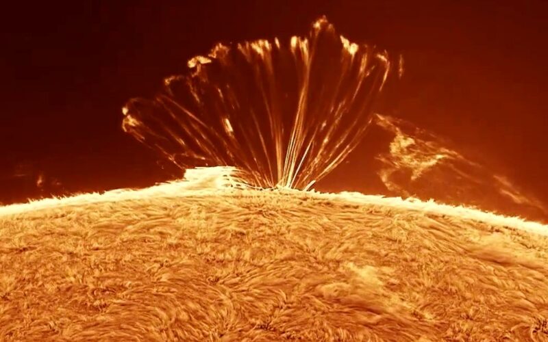 Espacio: Bucles de plasma sobre el borde del Sol