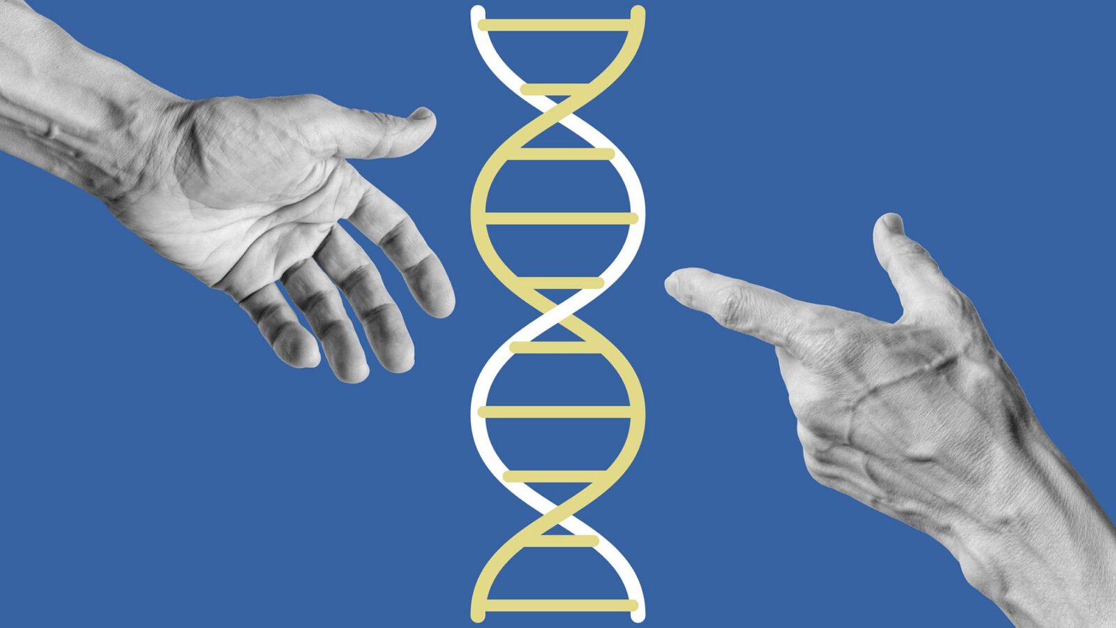 Genética: Células ajenas que permanecen en el cuerpo