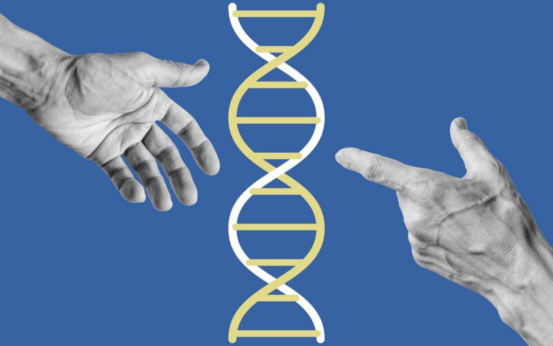 Genética: Células ajenas que permanecen en el cuerpo