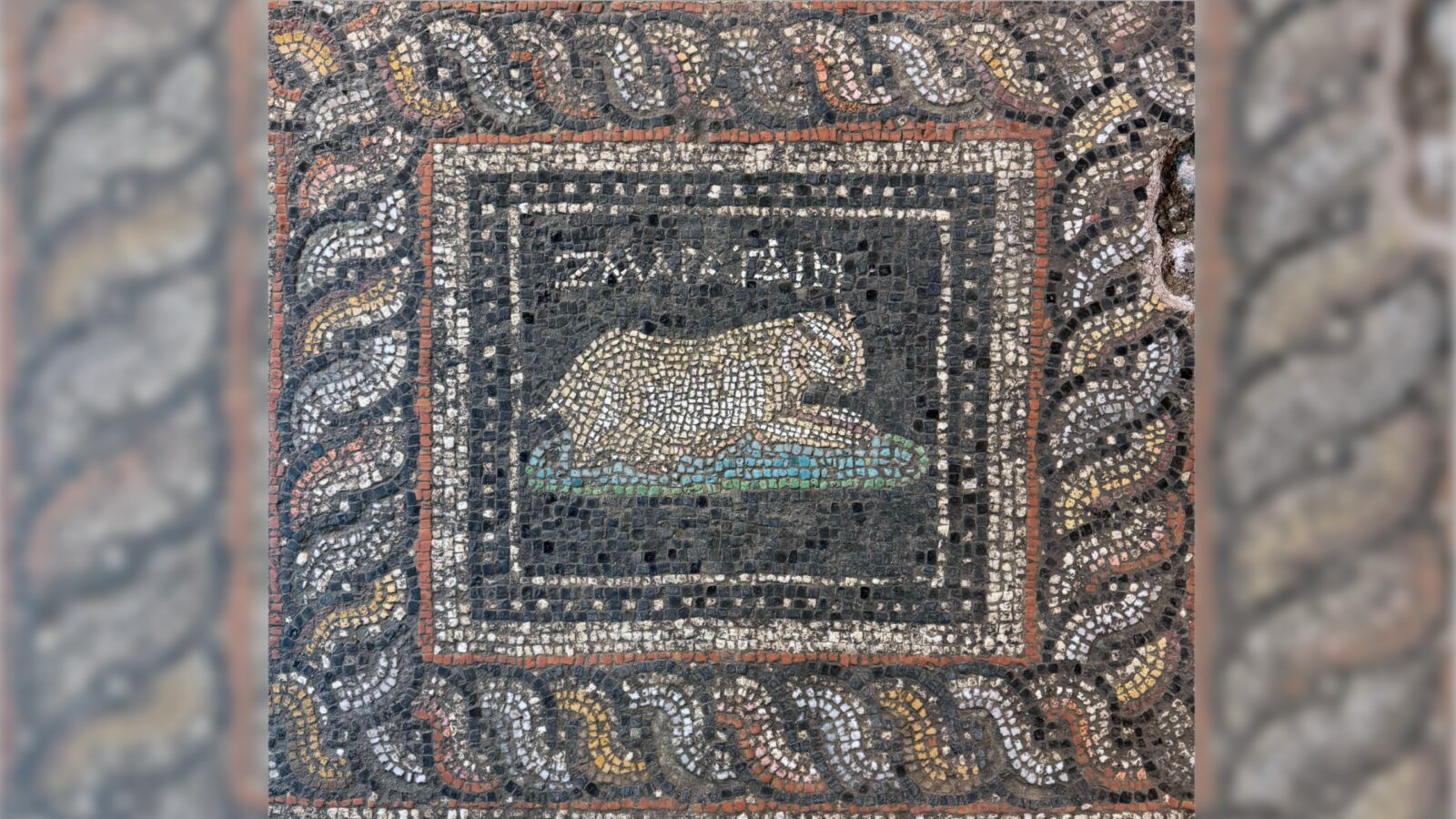 Arqueología: Un mosaico nombra a un gato y un perro