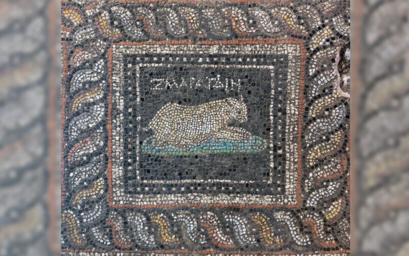 Arqueología: Un mosaico nombra a un gato y un perro