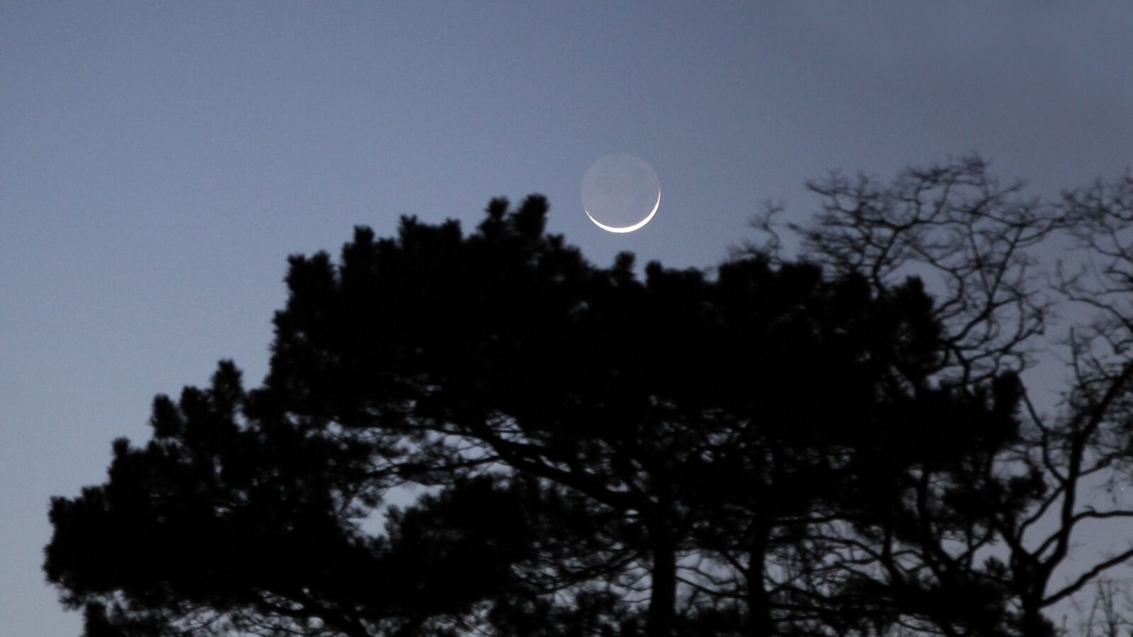 Espacio: La Luna cubrirá a Júpiter de día