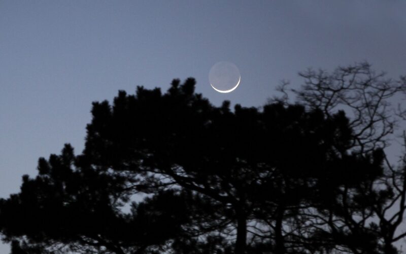 Espacio: La Luna cubrirá a Júpiter de día