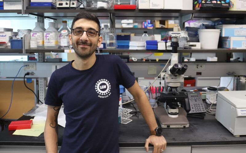 Ciencia: Un neurocientífico sopesa dejar el laboratorio