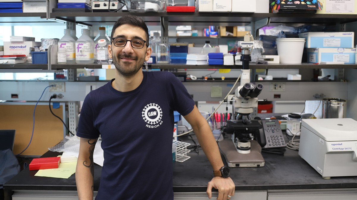 Ciencia: Un neurocientífico sopesa dejar el laboratorio