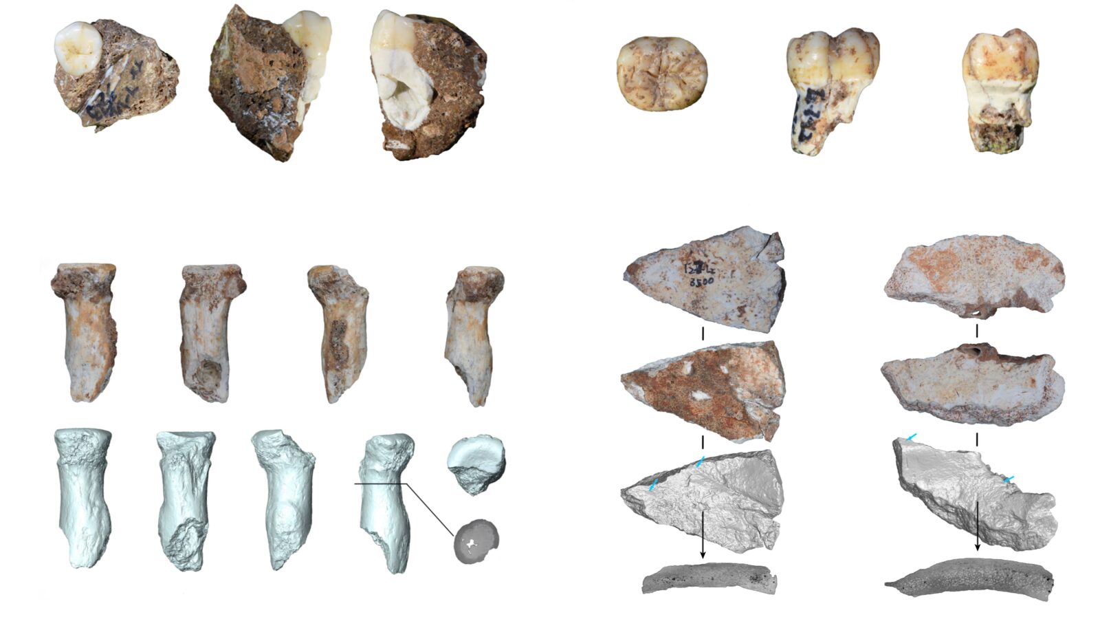 Paleo: Una cueva abre una ventana a los denisovanos