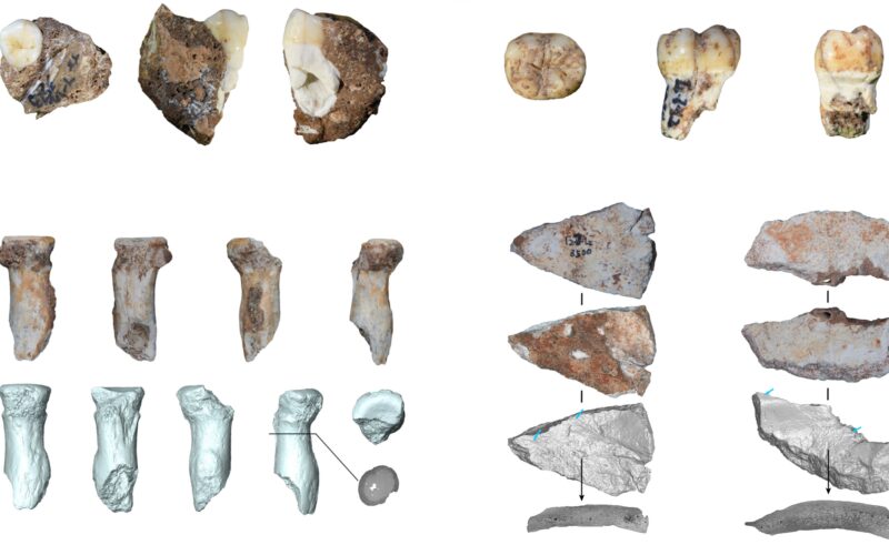Paleo: Una cueva abre una ventana a los denisovanos