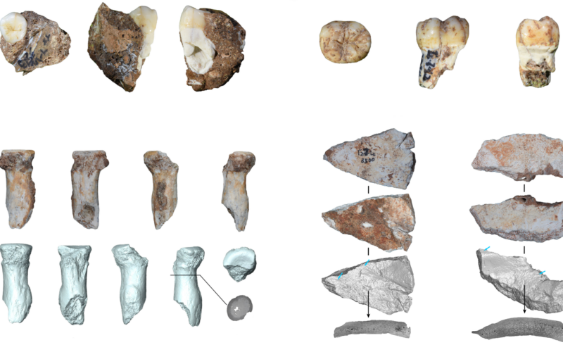 Paleo: Una cueva abre una ventana a los denisovanos