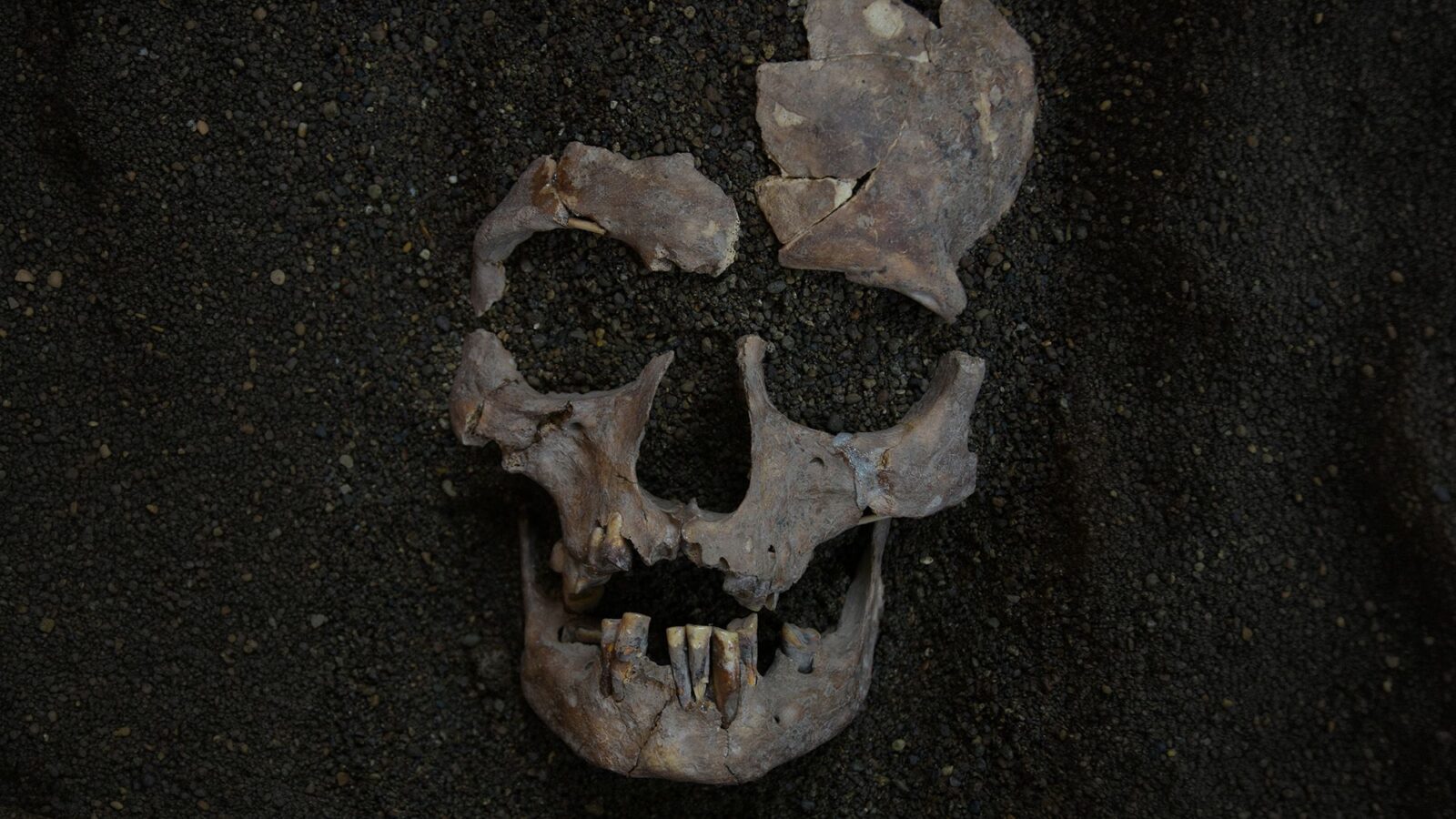 Arqueología: la droga más antigua se chupaba en Indonesia