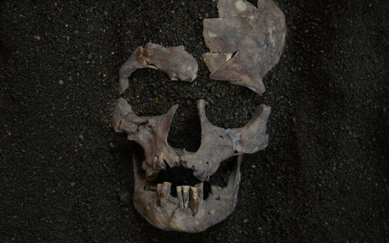 Arqueología: la droga más antigua se chupaba en Indonesia