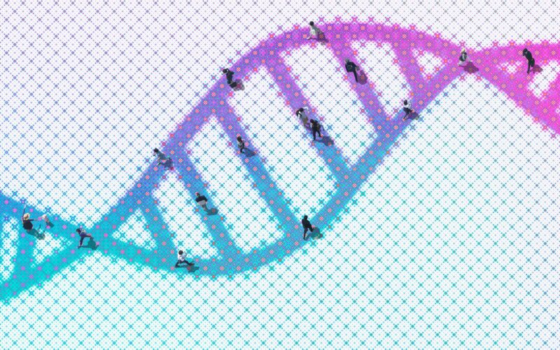 Genética: 1 200 genes ligados a la personalidad, ninguno decisivo