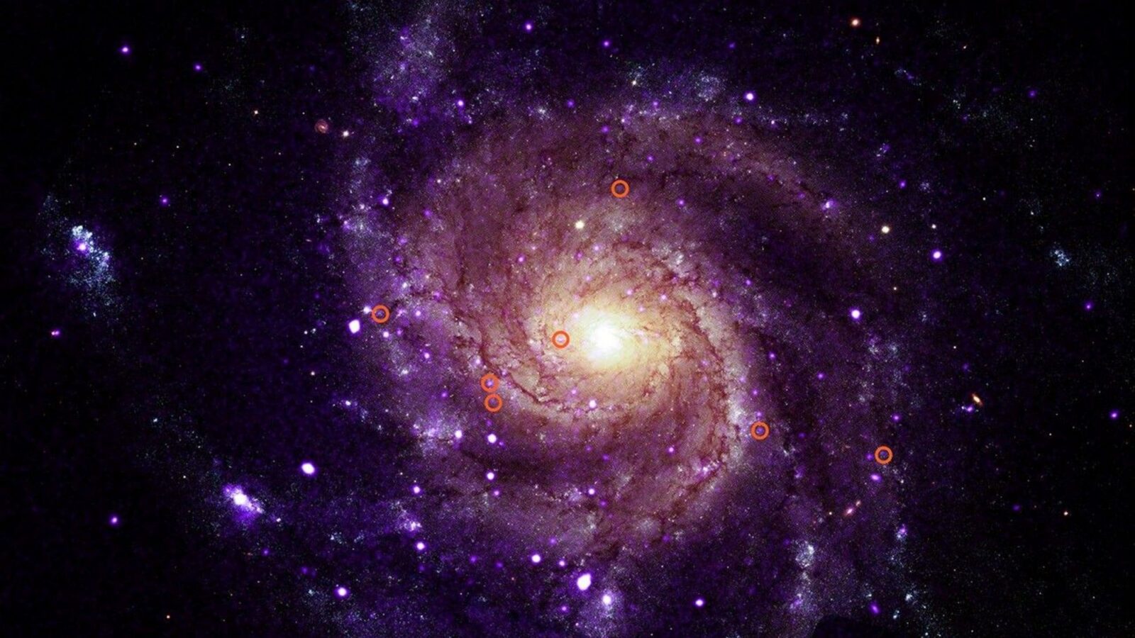 Espacio: Chandra halla 84 objetos de rayos X «hipersuaves»