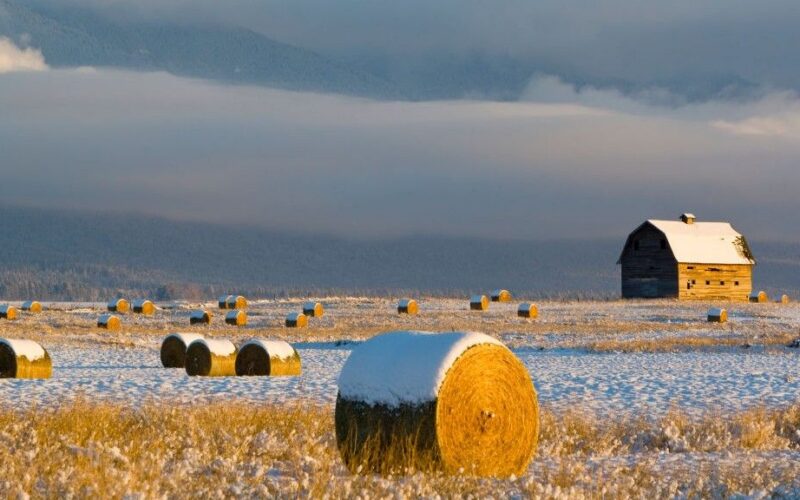 Clima: Una AMOC debilitada podría reducir las cosechas
